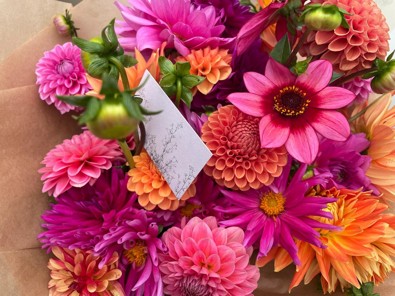 A vibrant hand-wrapped bouquet of dahlias